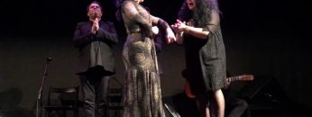 [ID: msXvaU7mFqk] Youtube Automatic