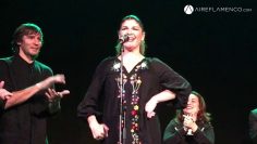 [ID: Mtg2_IGMJDo] Youtube Automatic