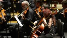 [ID: M_uuIUvlXjA] Youtube Automatic