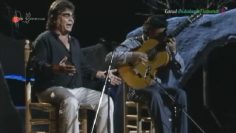 [ID: mv1Gb9QN4WI] Youtube Automatic