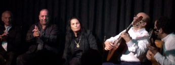 [ID: mVc8x0w8i0g] Youtube Automatic