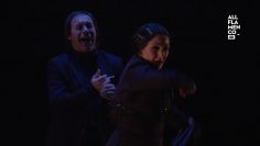 [ID: mVSzC_vAaAQ] Youtube Automatic