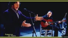 [ID: MXwAnv6TU0U] Youtube Automatic