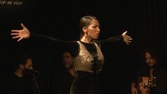 [ID: N3GNJ8UPsoo] Youtube Automatic