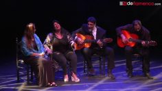 [ID: n59MJAl02SI] Youtube Automatic