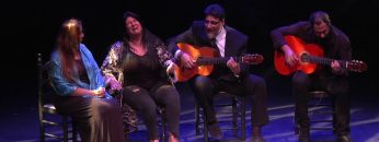 [ID: n59MJAl02SI] Youtube Automatic