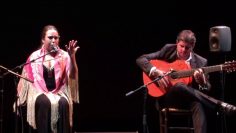 [ID: nD5pTr_w5Mo] Youtube Automatic