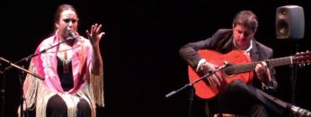 [ID: nD5pTr_w5Mo] Youtube Automatic