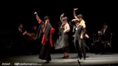 [ID: nf1EX_g6KhI] Youtube Automatic