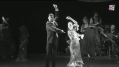 [ID: NkEQ3x110lo] Youtube Automatic