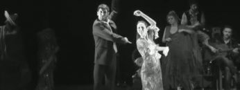 [ID: NkEQ3x110lo] Youtube Automatic