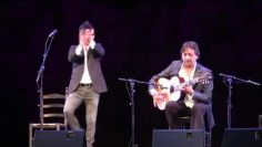 [ID: nl-p5DgXYrY] Youtube Automatic