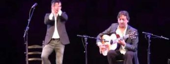 [ID: nl-p5DgXYrY] Youtube Automatic