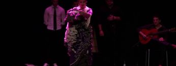 [ID: nL_JObHvTU0] Youtube Automatic