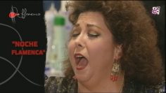 [ID: nMg6dhVtla0] Youtube Automatic