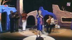 [ID: nNqw08L2Fns] Youtube Automatic