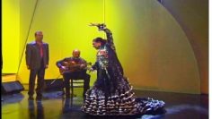 [ID: NprY7qHn0BU] Youtube Automatic