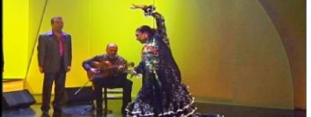 [ID: NprY7qHn0BU] Youtube Automatic