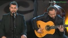 [ID: NrHhQfUncjw] Youtube Automatic