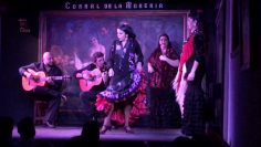 [ID: nrNH8OyRdz4] Youtube Automatic