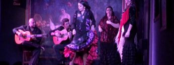 [ID: nrNH8OyRdz4] Youtube Automatic