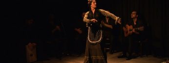 [ID: nSnogkevQc8] Youtube Automatic