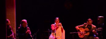 [ID: nvPrAJ2cmWg] Youtube Automatic