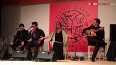 [ID: o-K7NeAbMR4] Youtube Automatic