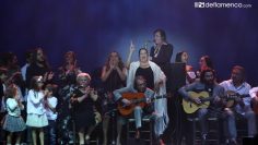 [ID: o5WiXaE1P9Y] Youtube Automatic