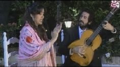 [ID: o6d_Z3q72GA] Youtube Automatic