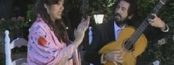 [ID: o6d_Z3q72GA] Youtube Automatic