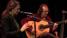 [ID: o7Mdf6Mg28w] Youtube Automatic