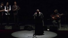 [ID: o7vVcOnaU8o] Youtube Automatic