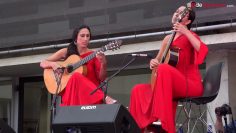 [ID: oAJ3JbUFyWE] Youtube Automatic