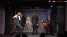 [ID: oBVEYokPYQ8] Youtube Automatic