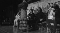 [ID: OcxYRoXG3YU] Youtube Automatic