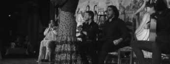 [ID: OcxYRoXG3YU] Youtube Automatic