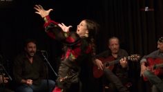 [ID: oDCQTCNcXOk] Youtube Automatic