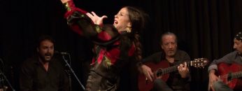 [ID: oDCQTCNcXOk] Youtube Automatic