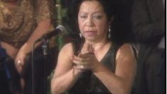 [ID: oEfBCVLJ7e4] Youtube Automatic