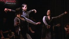 [ID: OEjXZeH3Fno] Youtube Automatic