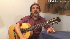 [ID: OewmwiASvSw] Youtube Automatic