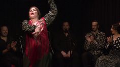 [ID: OGJsJ_A3EuA] Youtube Automatic