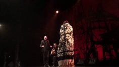 [ID: Oj8VqO0x4cI] Youtube Automatic