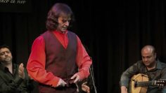 [ID: _OL5_cQ-KDo] Youtube Automatic