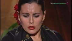 [ID: olz0bF1QQwI] Youtube Automatic