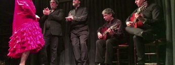 [ID: OmixXIsxWAw] Youtube Automatic