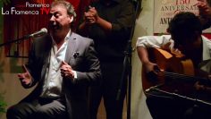 [ID: oOOGet2ZGDE] Youtube Automatic