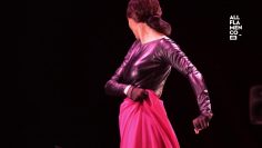 [ID: OopuPR8GW-k] Youtube Automatic