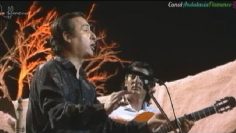 [ID: orPHNTHpjQU] Youtube Automatic